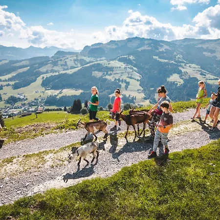 Erwin-3 By Interhome Lejlighed *