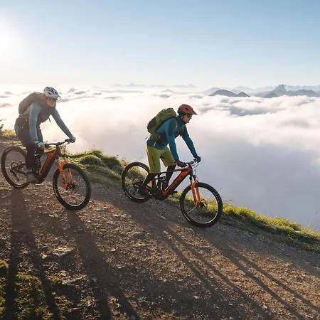 Erwin-3 By Interhome