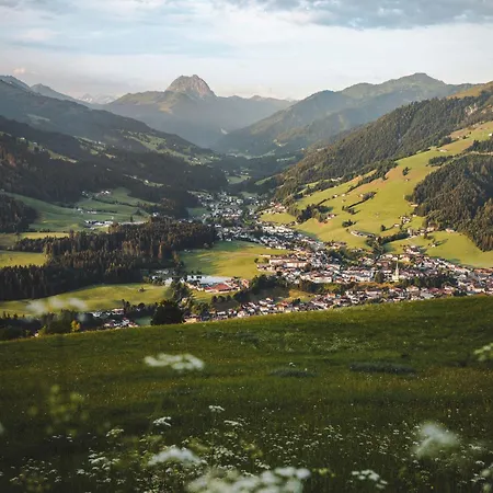 Erwin-3 By Interhome Apartament Kirchberg in Tirol