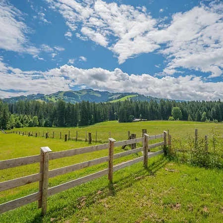 Erwin-3 By Interhome Kirchberg in Tirol